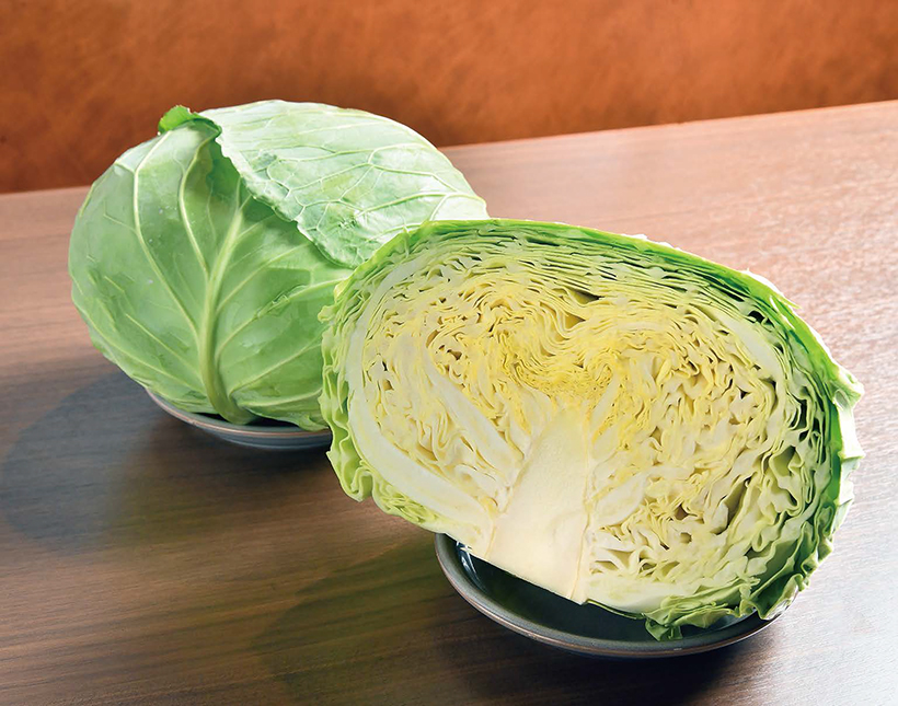 愛用食材と調理技術：射手矢農園「泉州松波キャベツ」　お好み焼きに好適な味と硬&hellip;