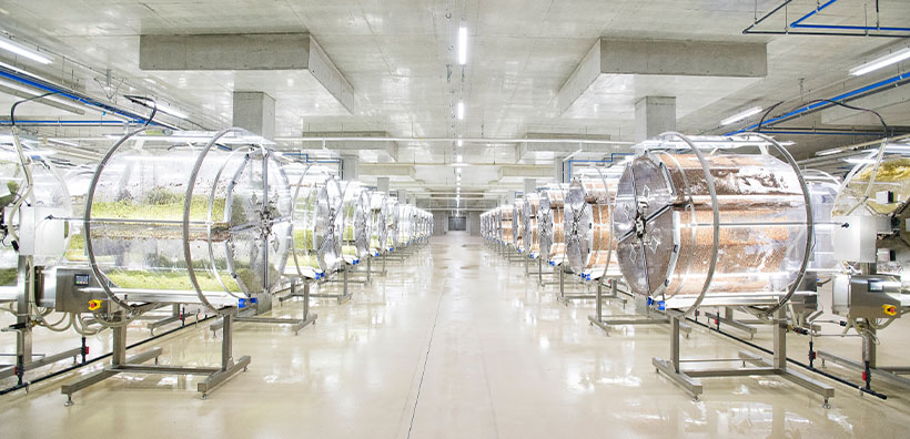 村上農園、過去最高14億円売上げ　6月、高成分野菜出荷急伸