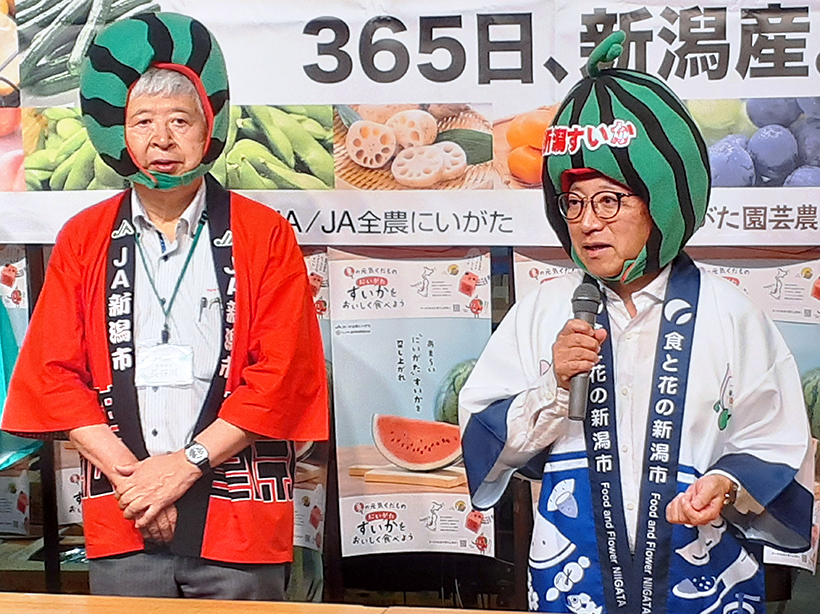 新潟すいか、大田市場でトップセールス　天候に恵まれ最上の出来