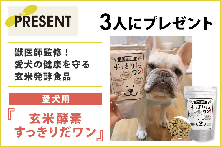プレゼント：愛犬用『玄米酵素　すっきりだワン』愛犬の健康を守る玄米発酵食品を3人に