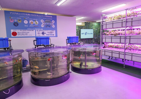 屋内農業、ＡＩで効率化＝植物工場、養殖と連携も【時事通信速報】