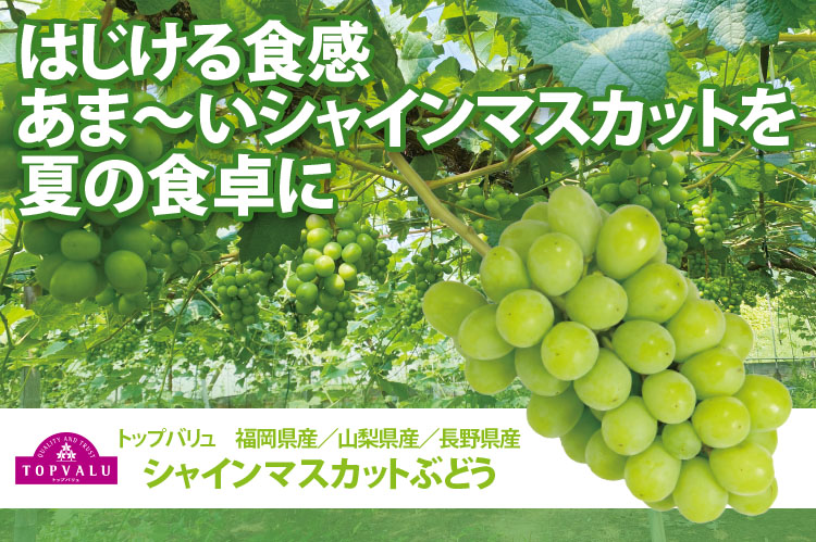 はじける食感！あま～いシャインマスカットを夏の食卓に