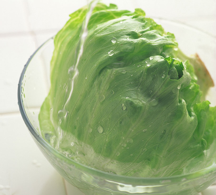 野菜果物で一皿のサプライズ：レタス