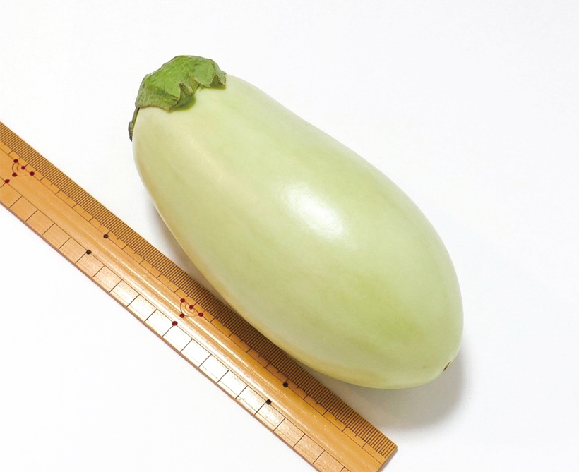 青果卸の旬奨野菜：8月　つま正代表取締役社長・小山正和氏