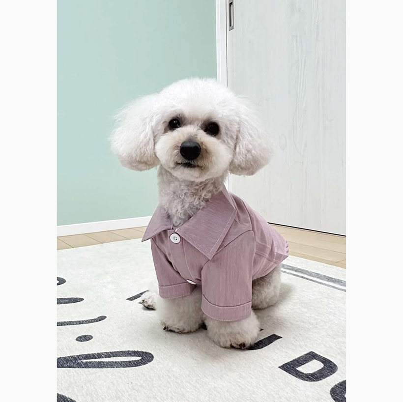 アパレルに学ぶ盛り付けのヒント：犬用アパレルに期待高まる　私と同じ服をペット&hellip;