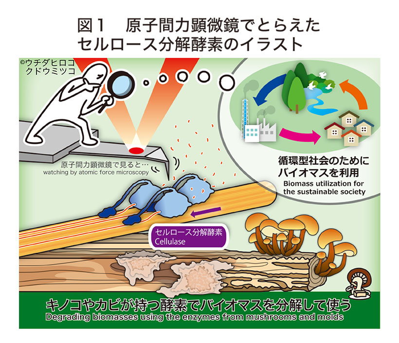 食品ニューテクノロジー研究会講演：東京大学大学院・五十嵐圭日子教授