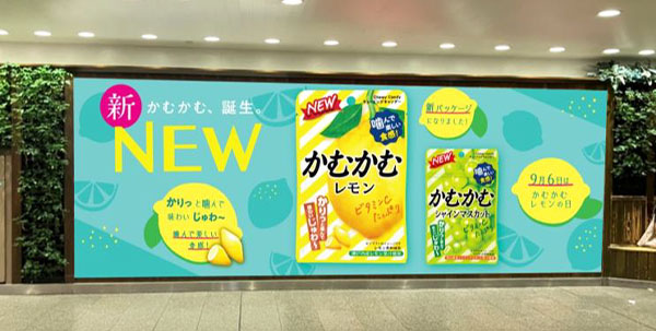 三菱食品、「かむかむ」大幅リニューアルへ