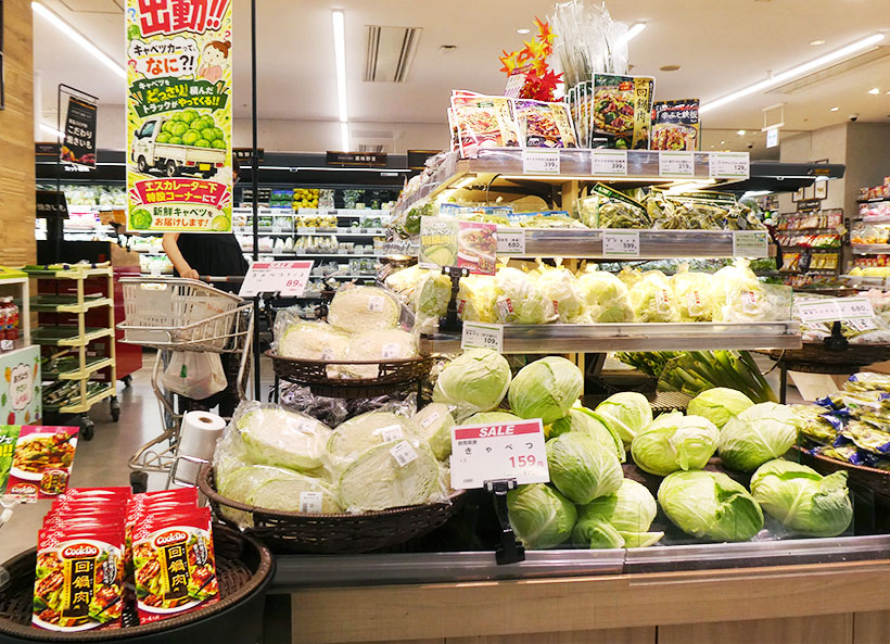 味の素「Cook Do〈回鍋肉用〉」　衛星データ販促活用　旬のキャベツ需給予&hellip;