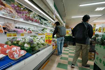 １０月の野菜価格、平年より高く＝長雨でハクサイやレタス―農水省【時事通信速報&hellip;