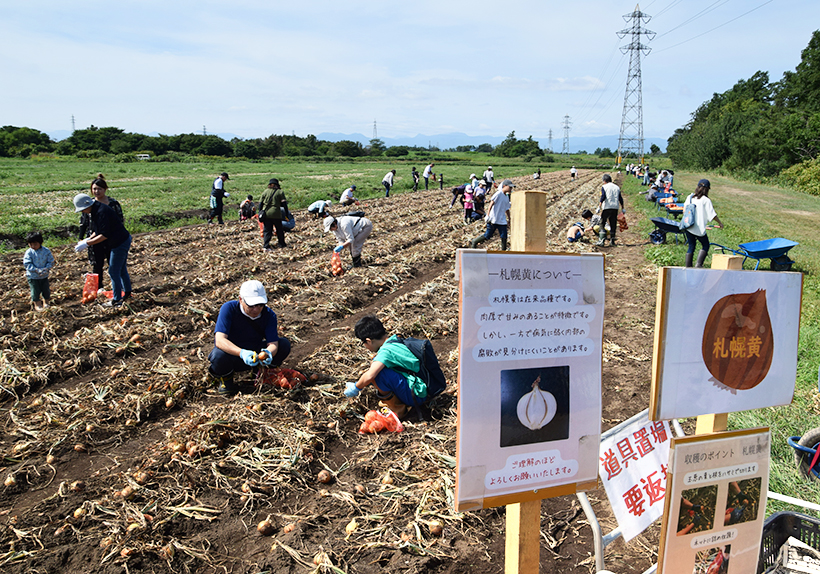 北海道アグリ企画、ヴェール農場で収穫体験祭を開催　家族連れ楽しむ