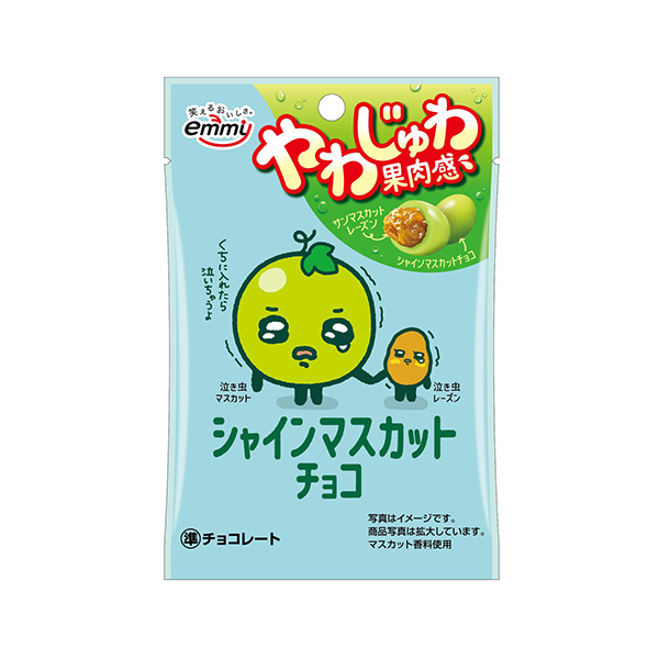 シャインマスカットチョコ（正栄デリシィ）2026年9月14日発売