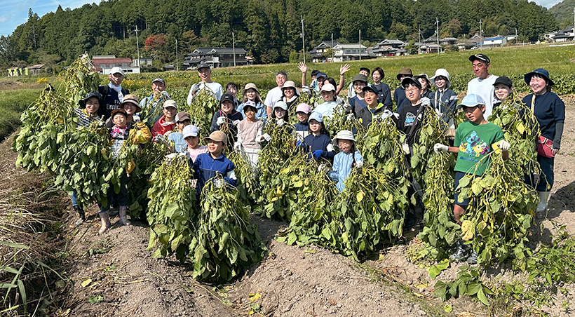 フジッコ、恒例の親子枝豆収穫イベント　丹波黒大豆生育体験